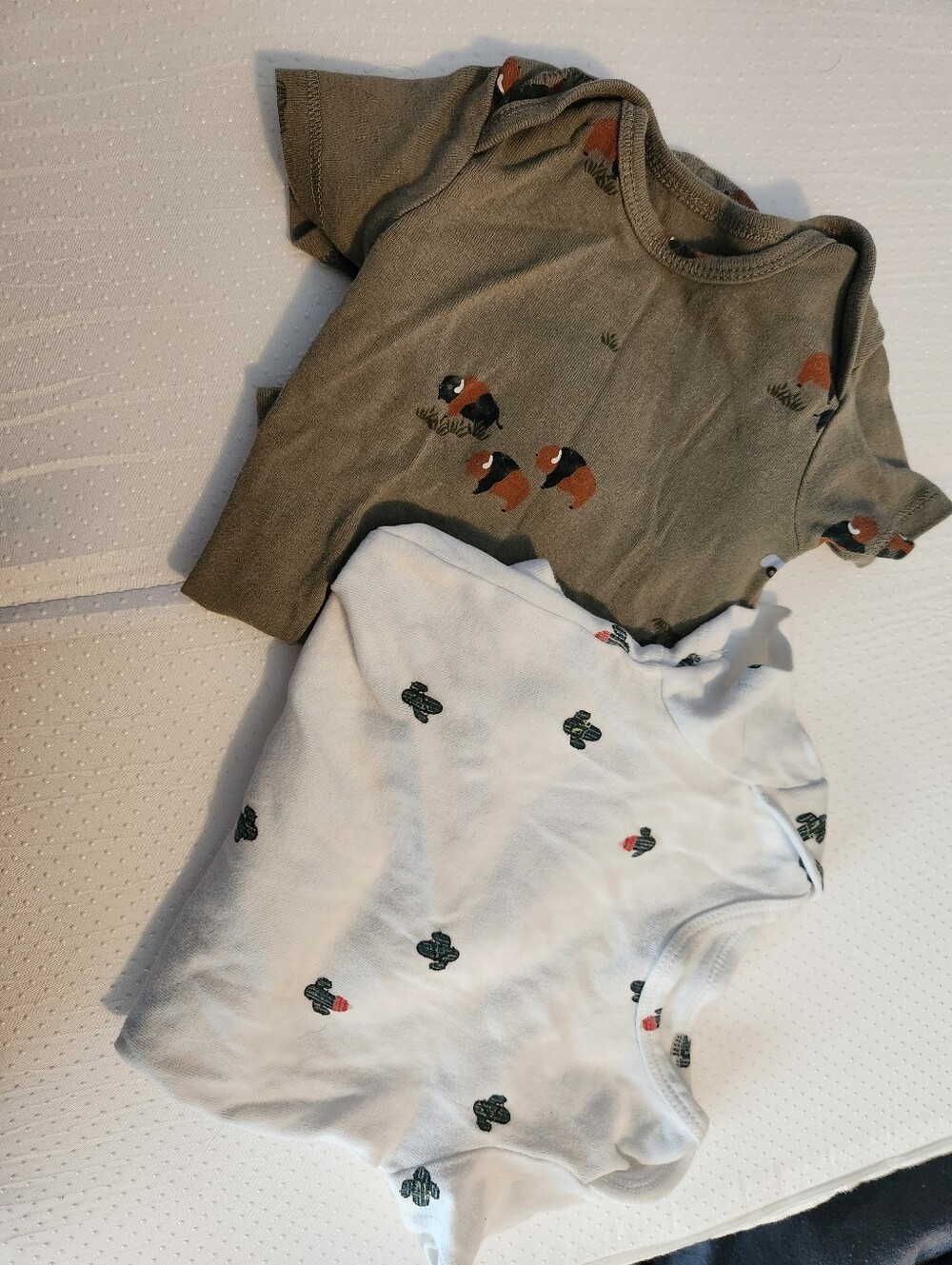 Carter's Western Themed 2-Pack Short Sleeve Onesies